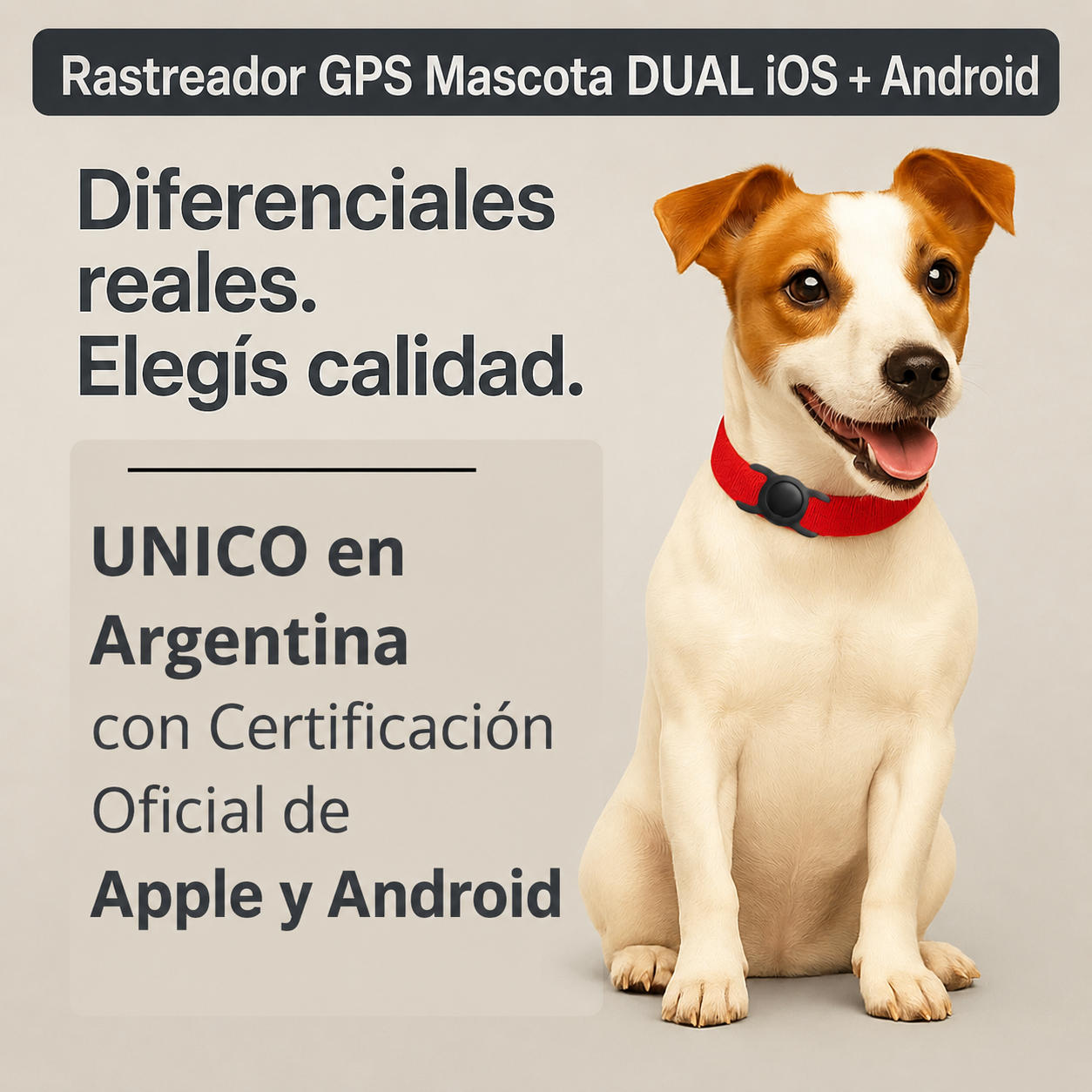 Rastreador Tipo GPS Para Mascotas.            |          Compatible Con Android y Apple